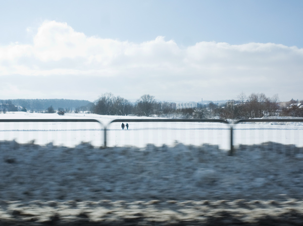 811 :: white field